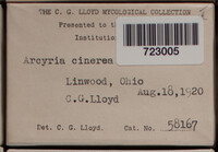 Image Associated With the Occurence